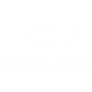 Animal Planet